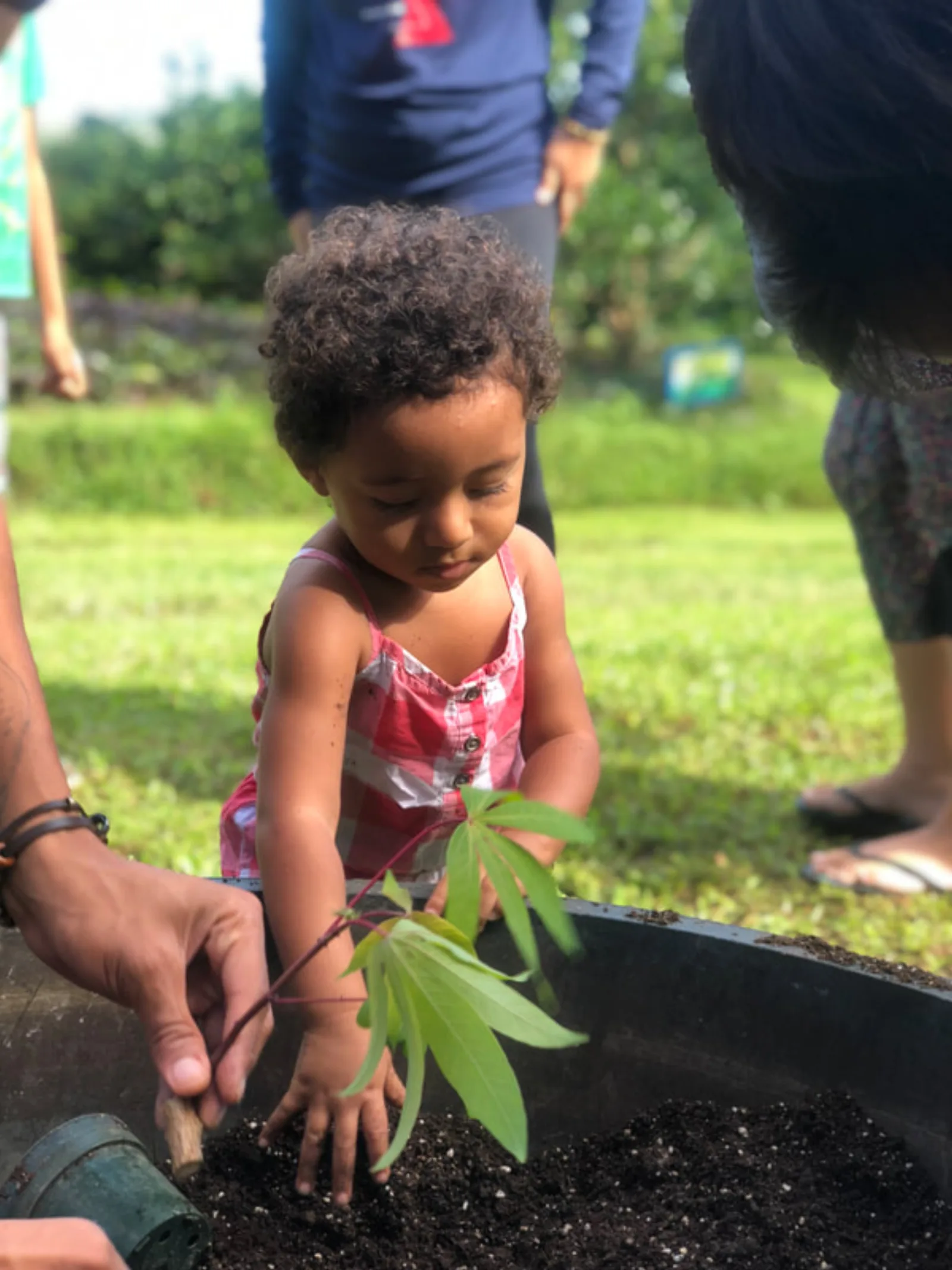 A young child planting at Yogarden