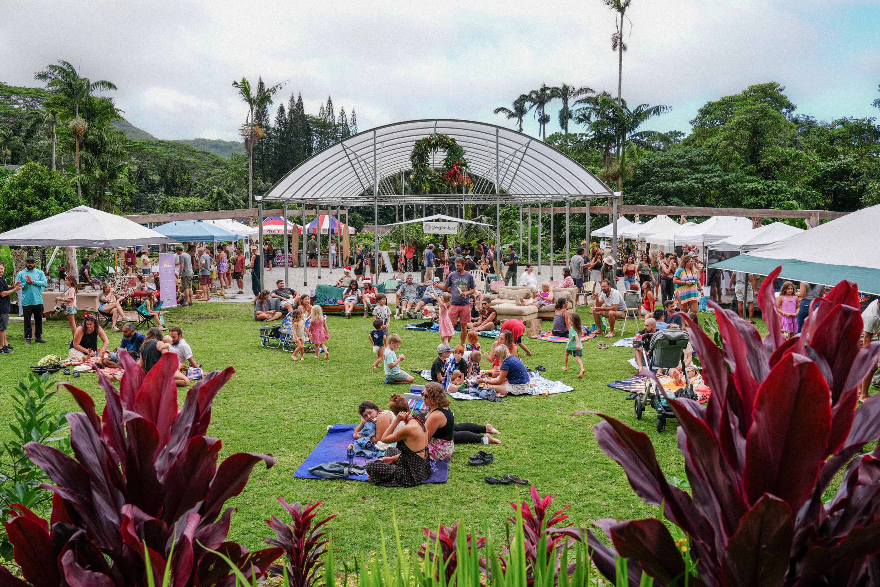 A community gathering across the lawn at Yogarden Farm