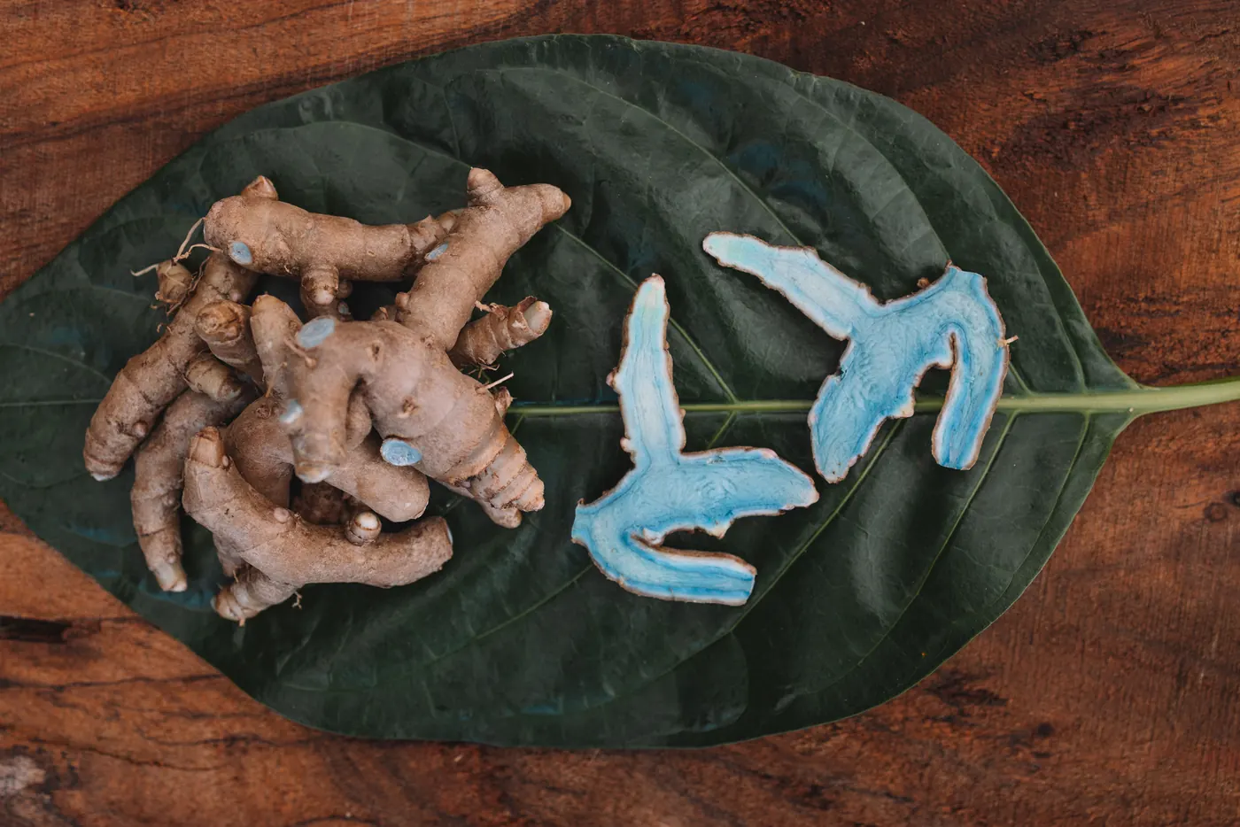 Kali Haldi ʻolena root and cut interior